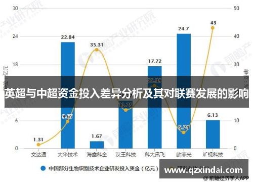 英超与中超资金投入差异分析及其对联赛发展的影响