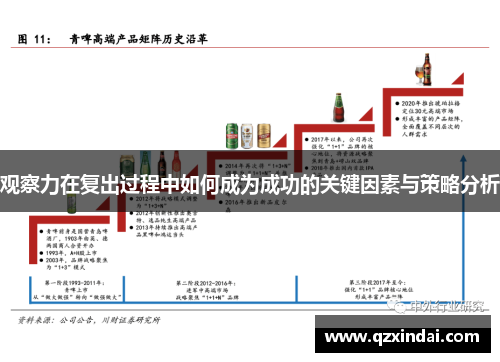 观察力在复出过程中如何成为成功的关键因素与策略分析